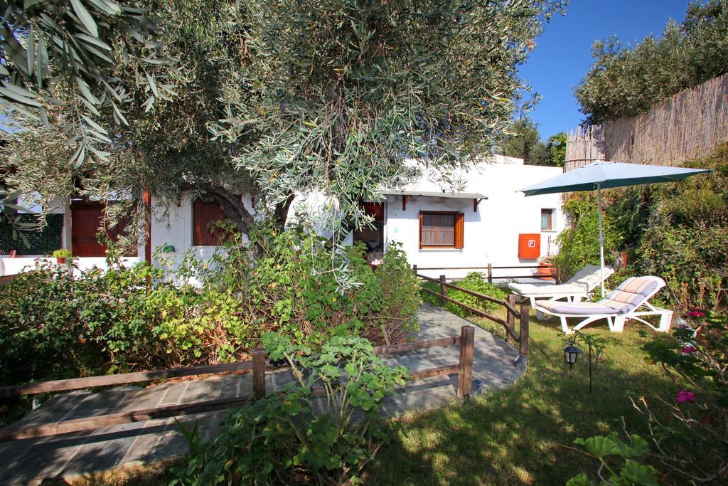 Irene' S Paradise Skopelos Buitenkant foto